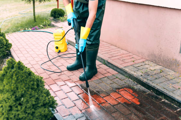 Best Roof Power Washing Services  in Lyons, WI