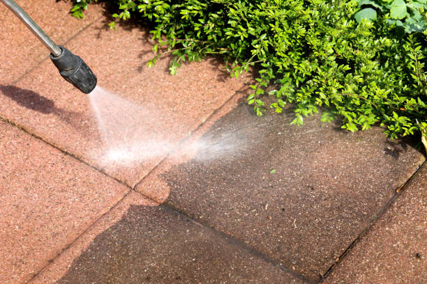 Best Pressure Washing Near Me  in Lyons, WI